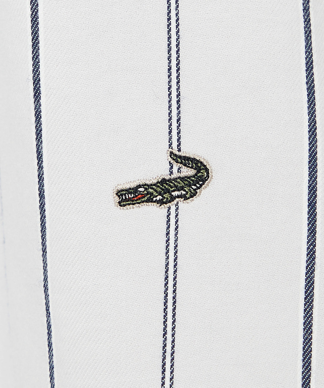 バンドカラー ストライプ チュニック【一部店舗限定】