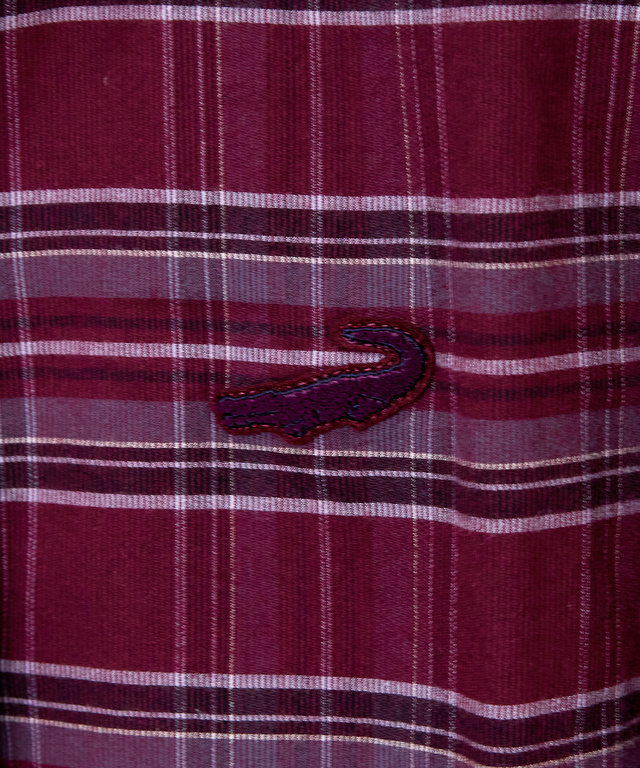 微起毛ピケ チェック柄 ブラウス